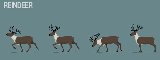 Set of walking reindeer. © heavypong