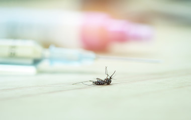 Died mosquito with vaccine for create health care disease concept  