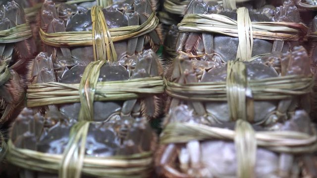 Shanghai hairy mitten crab Chinese Autumn delicacy seasonal seafood in chilled fridge