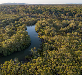 Fototapeta premium Aerial of a small river in the middle of a wet landscape with small trees, mangroves. Perfect relaxing view for yoga, kayak or jogging, walking at sunrise