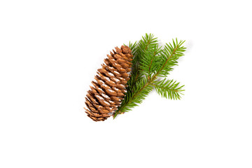 Christmas concept. Fir cone strewn with snow and small fir branch isolated on white background. Top view. Close up.