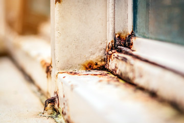 Close up of rust on an old white iron window in the corner of the frame with a blurred background