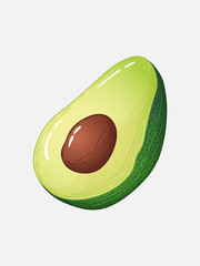 Vector hand drawn colorful illustration of sliced half avocado with seed. Fresh fruit isolated on white background in sketch style.