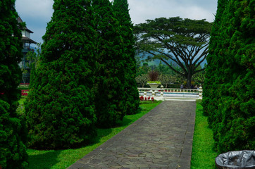 garden in park