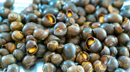 Boiled snail, Vietnamese street food