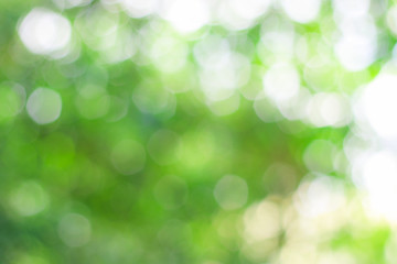 Fototapeta na wymiar Natural green background, blur, bokeh. Can be used as a background.