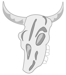 Skull animal on white background is insulated