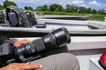 Frog sitting on photo lens on the knees of a photographer in a boat, Pantanal Wetlands, Mato...