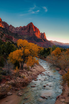 Zion Watchman at Golden Hour with Flowing River and Glowing Cliffs at Autumn