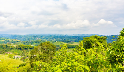 eje cafetero colombia quindio armenia salento cafe ecoturismo rural tropico guadual cafetal cafetero arabia pereira