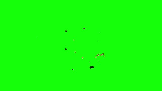 Moth and bug overlay on greenscreen, 
Perfect for compositing into a night time scene around a light source  like a candle or lamp.