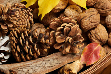 Fruits and vegetables with apples, corn, nuts, berries - autumn harvest and healthy food concept. Yellow leaves. Still life on wooden background.