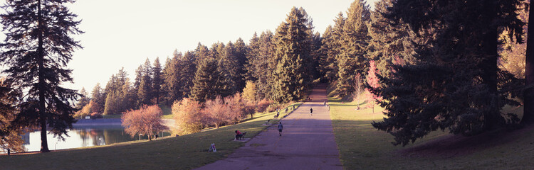 Scene of Mt. Tabor's water reservoirs park in Oregon state