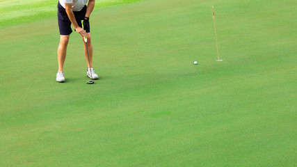Obraz premium Golfista kładący piłeczkę golfową na zielonym polu,