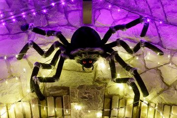 Halloween giant black spider in led lights web.