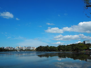 青空が移った公園の池