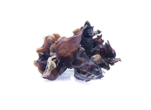 Dried chinese black fungus. Jelly ear  isolated