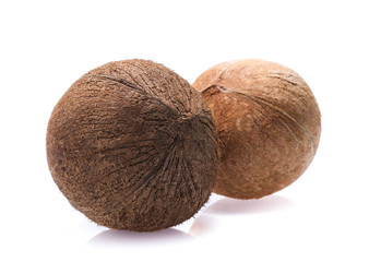 coconuts isolated on  white background