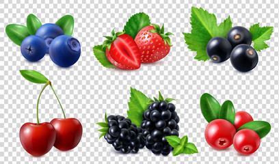 Realistic Berries Set © Macrovector
