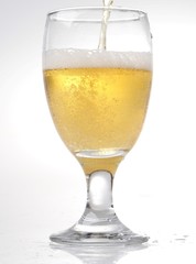 Beer bubbles