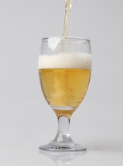 Beer bubbles