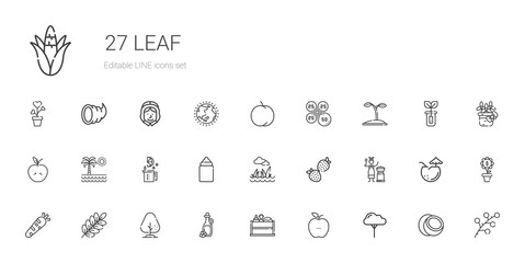 leaf icons set