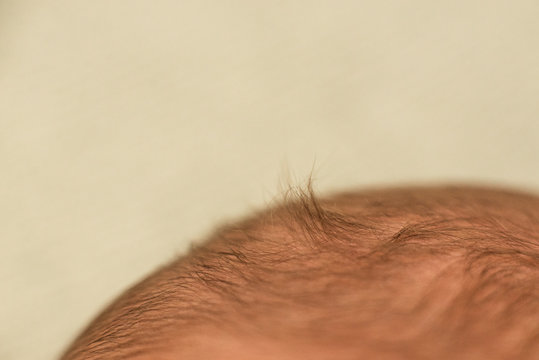 hair of a newborn baby. child head, fontanel on the head