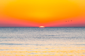 The last seconds of the amazing sundown. Three birds flying above the horizon, a bit of the sun star sphere is showing up above the sea. Vibrant sunset on Cala Violina beach