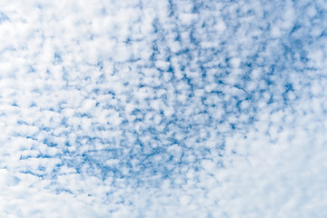 Fototapeta na wymiar Background A lot of beautiful Small Fluffy Clouds with blue sky in the morning
