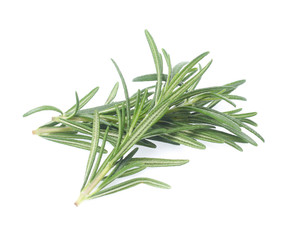 rosemary isolated on white background