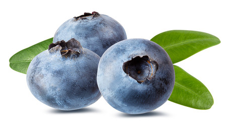 Fresh blueberry with leaf isolated on white background with clipping path