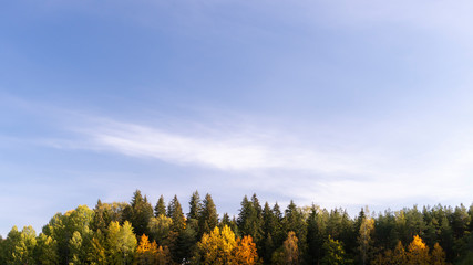 Autumn landscape of colorful trees.