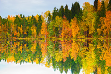 Beautiful autumn landscape. Reflection of the autumn forest in the lake. Inverted (upside down) photo.