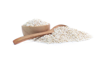 Barley grain isolated on white background