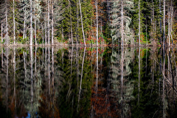 Karagöl / Artvin, the natural wonder of the Black Sea