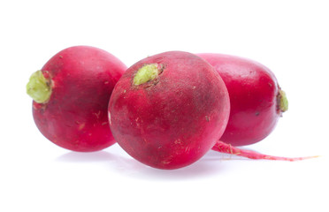 Small garden radish isolated on white background