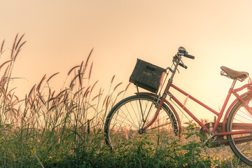 Fototapeta na wymiar Retro bicycle in fall season grass field, warm meadow tone