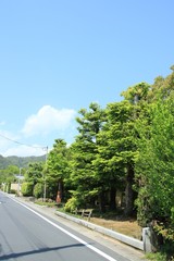 京都　嵯峨野の風景