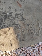Medieval old tombstone with templar cross on surface Central Serbia