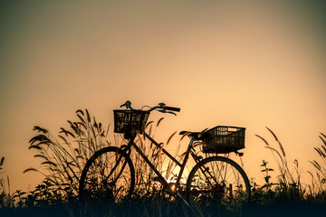 Naklejka premium Retro bicycle in fall season grass field, warm meadow tone
