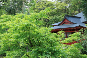 京都　大覚寺(霊明殿)