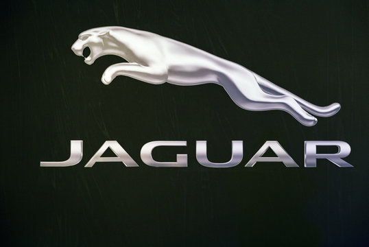 Jaguar Logo Drawing  Jaguar Logo Line Art  Free Transparent PNG Clipart  Images Download