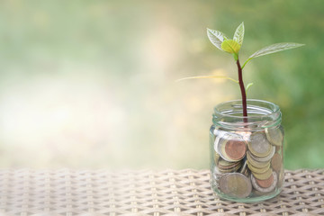 Fototapeta na wymiar Coins in glass jar with little plant growing on money
