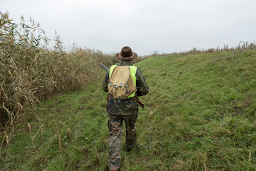 Hunting period, autumn season open. A hunter with a gun in his hands in hunting clothes in the...