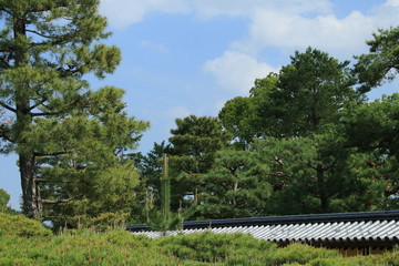 Fototapeta na wymiar 京都　大覚寺