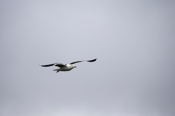 Färöer - Inseln im Nordatlantik