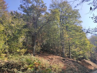 Mountain Rudnik Serbia autumn scenery