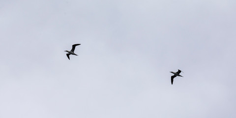 Färöer - Inseln im Nordatlantik