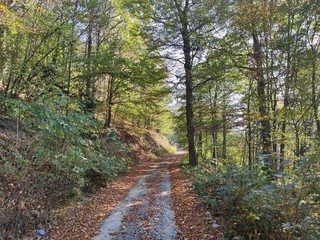 Mountain Rudnik Serbia dirt road in autumn scenery