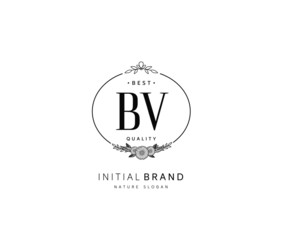 B V BV Beauty vector initial logo, handwriting logo of initial signature, wedding, fashion, jewerly, boutique, floral and botanical with creative template for any company or business.